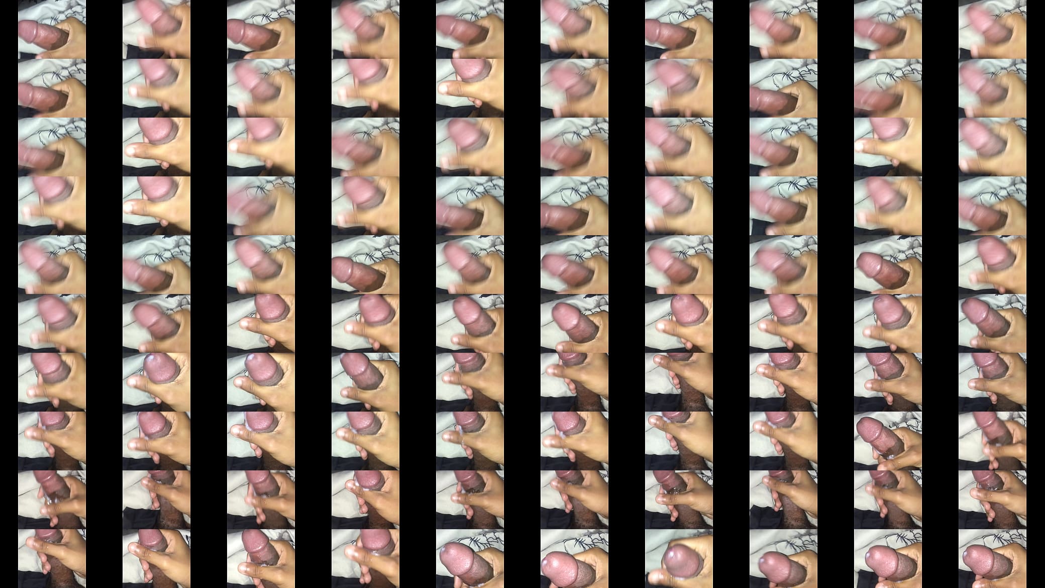 quick nut 预览图