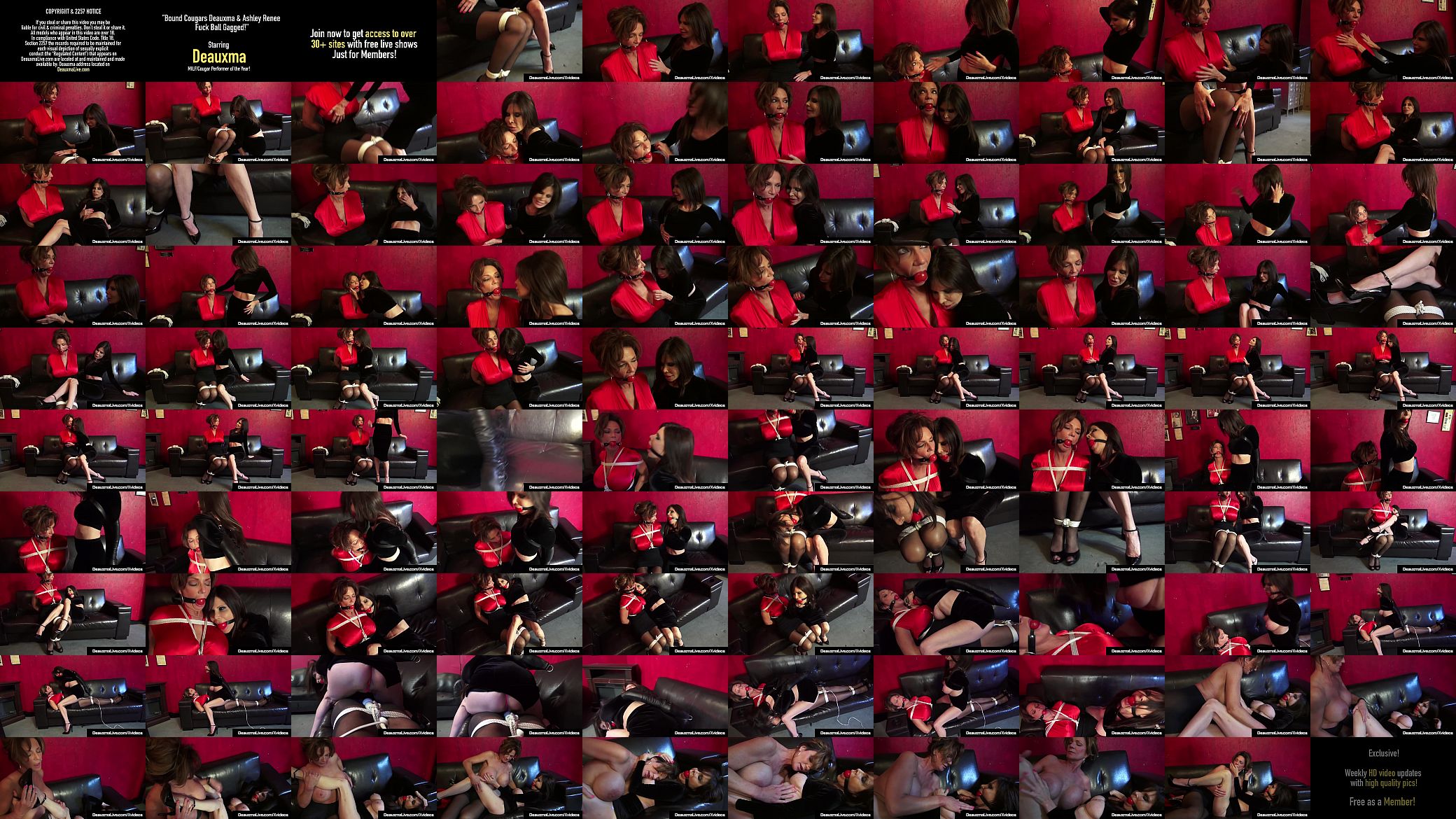 Bound Cougars Deauxma &amp; Ashley Renee Fuck Ball Gagged! 预览图