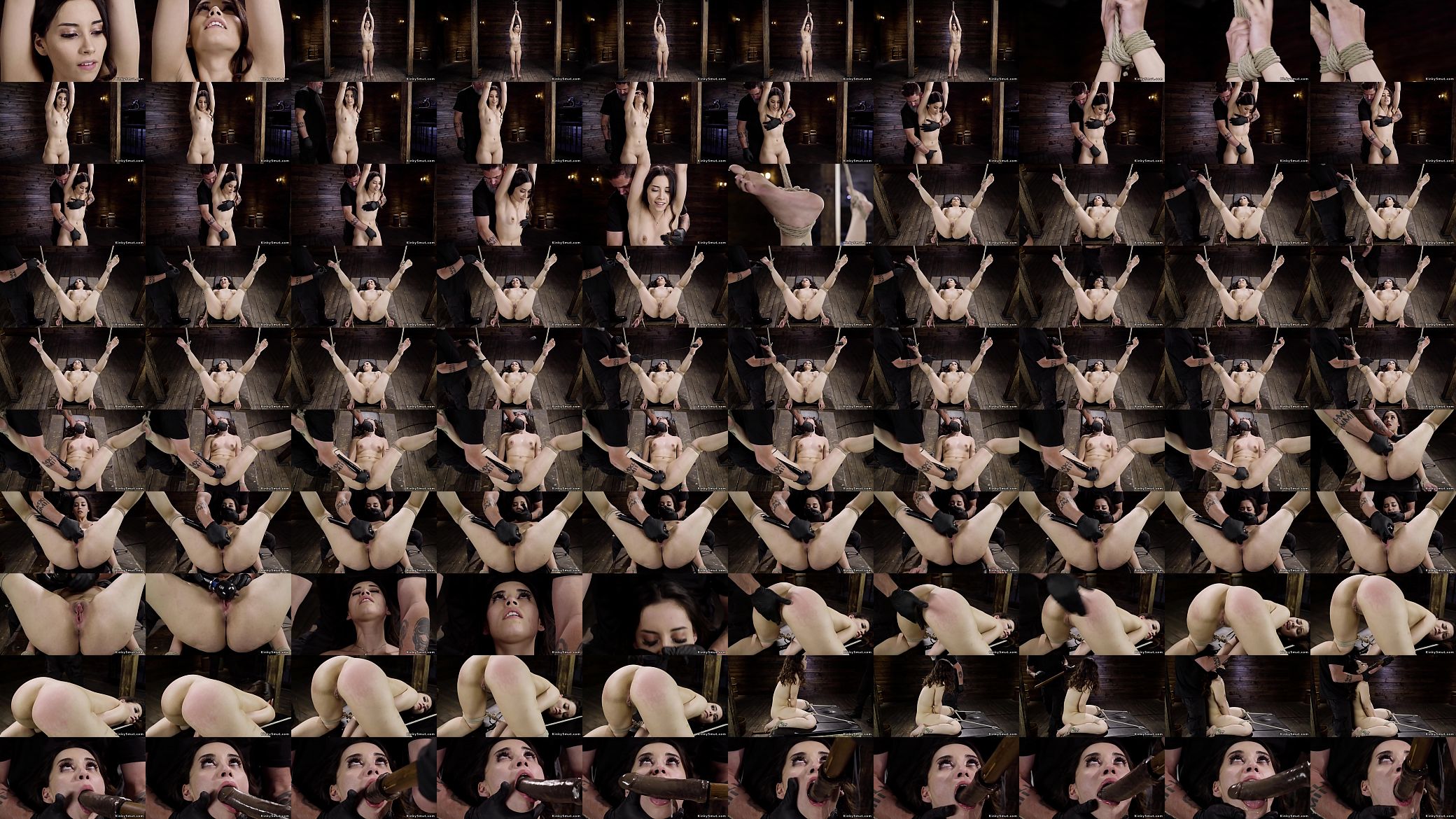 Small tits brunette newbie hogtied 预览图