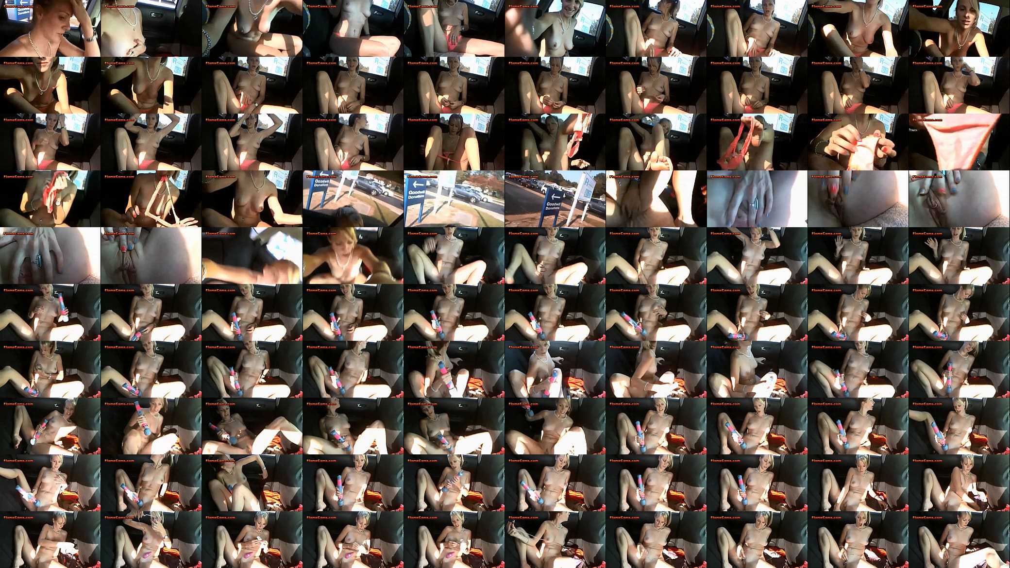 Amateur Babe Public Masturbation 预览图