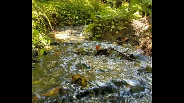 Gushing Fairy river squirts magic