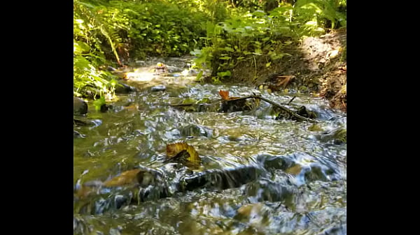 Gushing Fairy river squirts magic