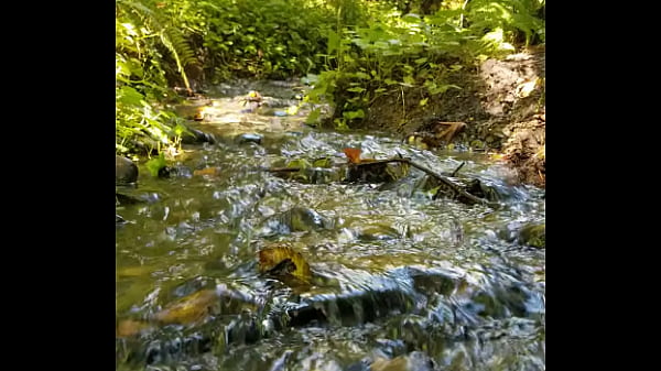 Gushing Fairy river squirts magic