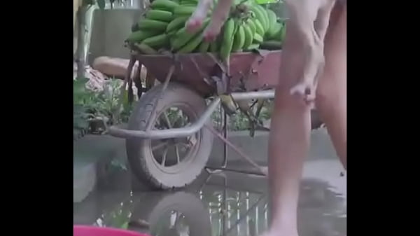 Video x&aacute;c minh