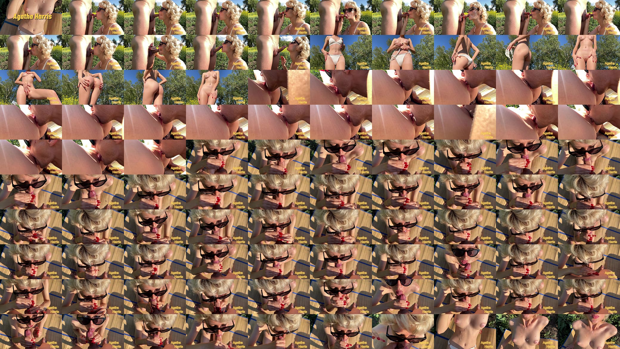 Risky blowjob in the park with cum in mouth and on tits 预览图
