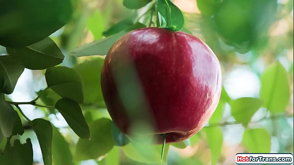 Download Video - The Trans porn version of Adam and Eve in the garden of Eden