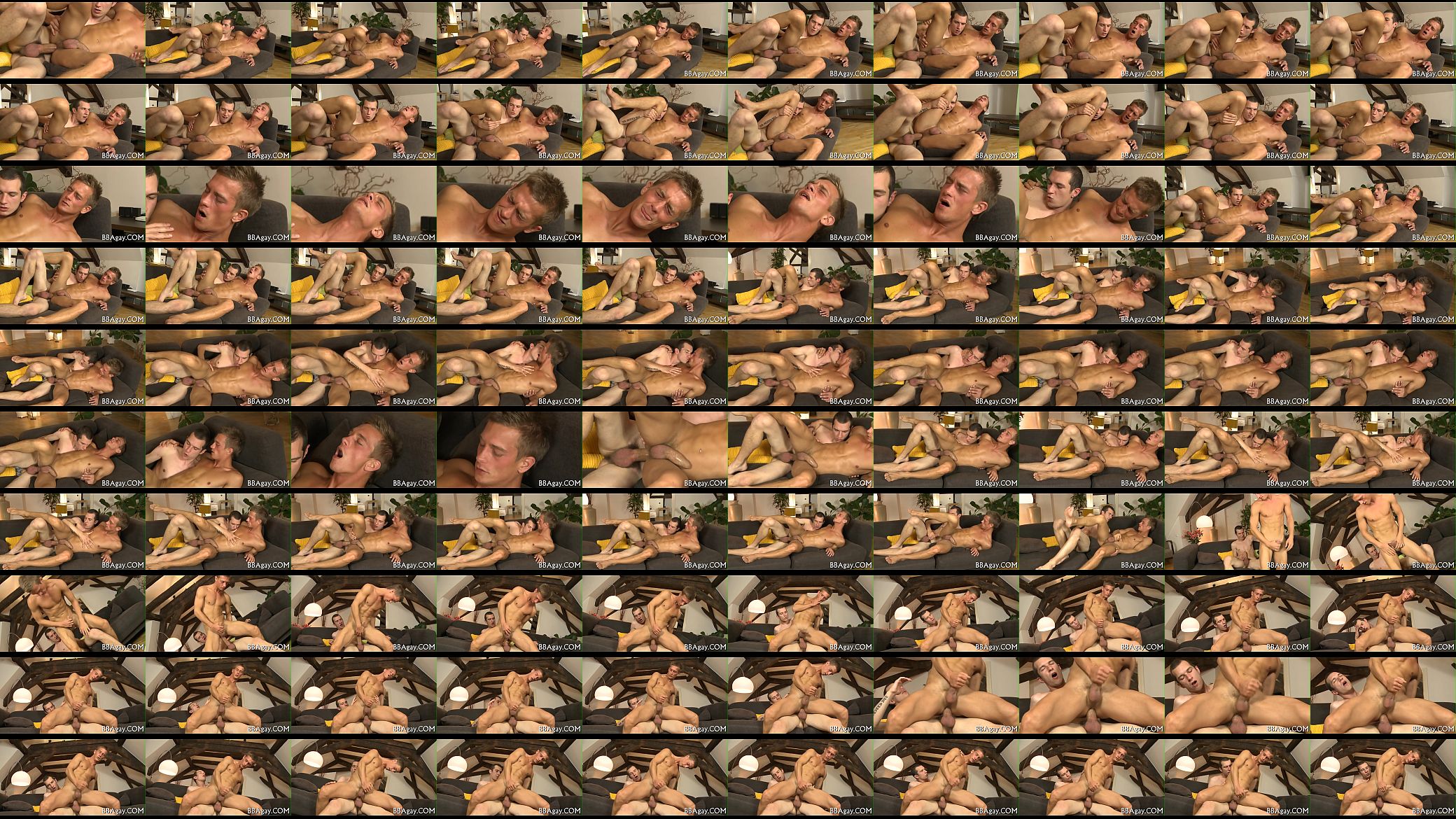 Homosexual porn episodes 预览图