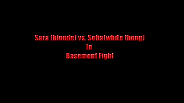 Basement Sample