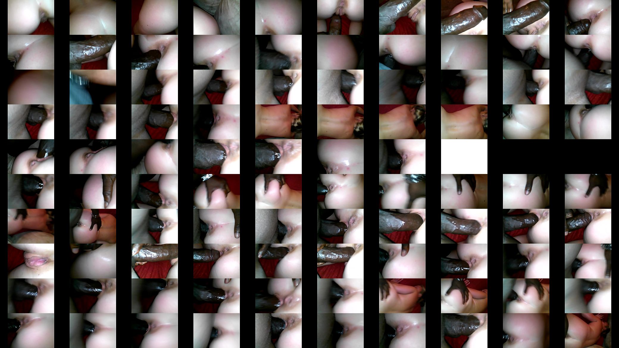 DOGGY IR 03 预览图