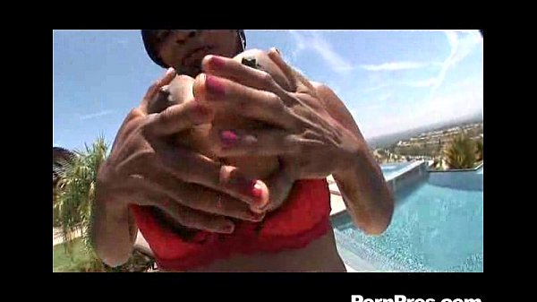 Stacys Succulent Super Tits