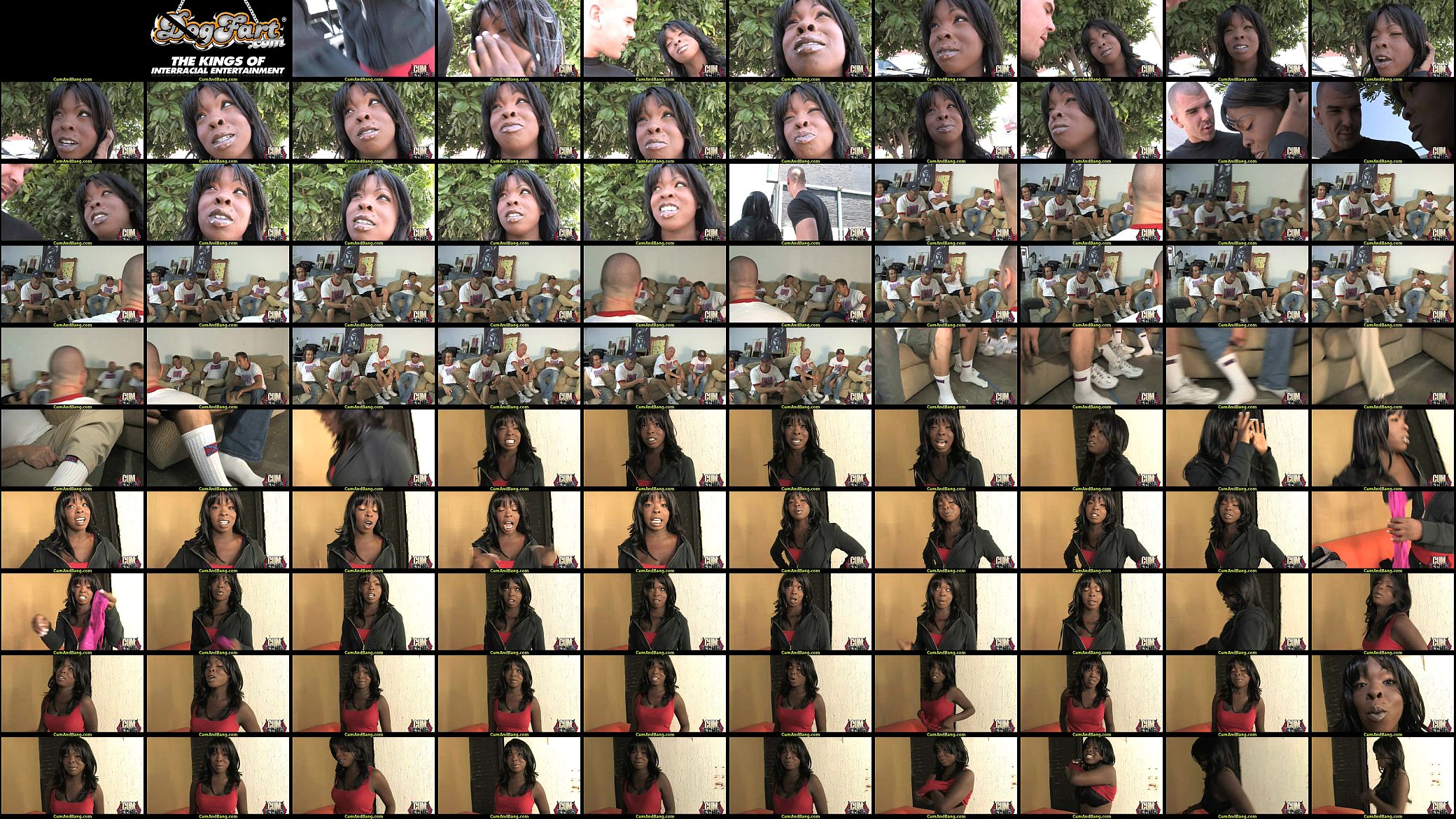 Ebony Cumslut Gets Multi Facial In Gangbang 19 预览图