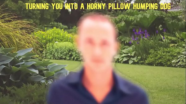 Mesmerized to become My Pillow Humping