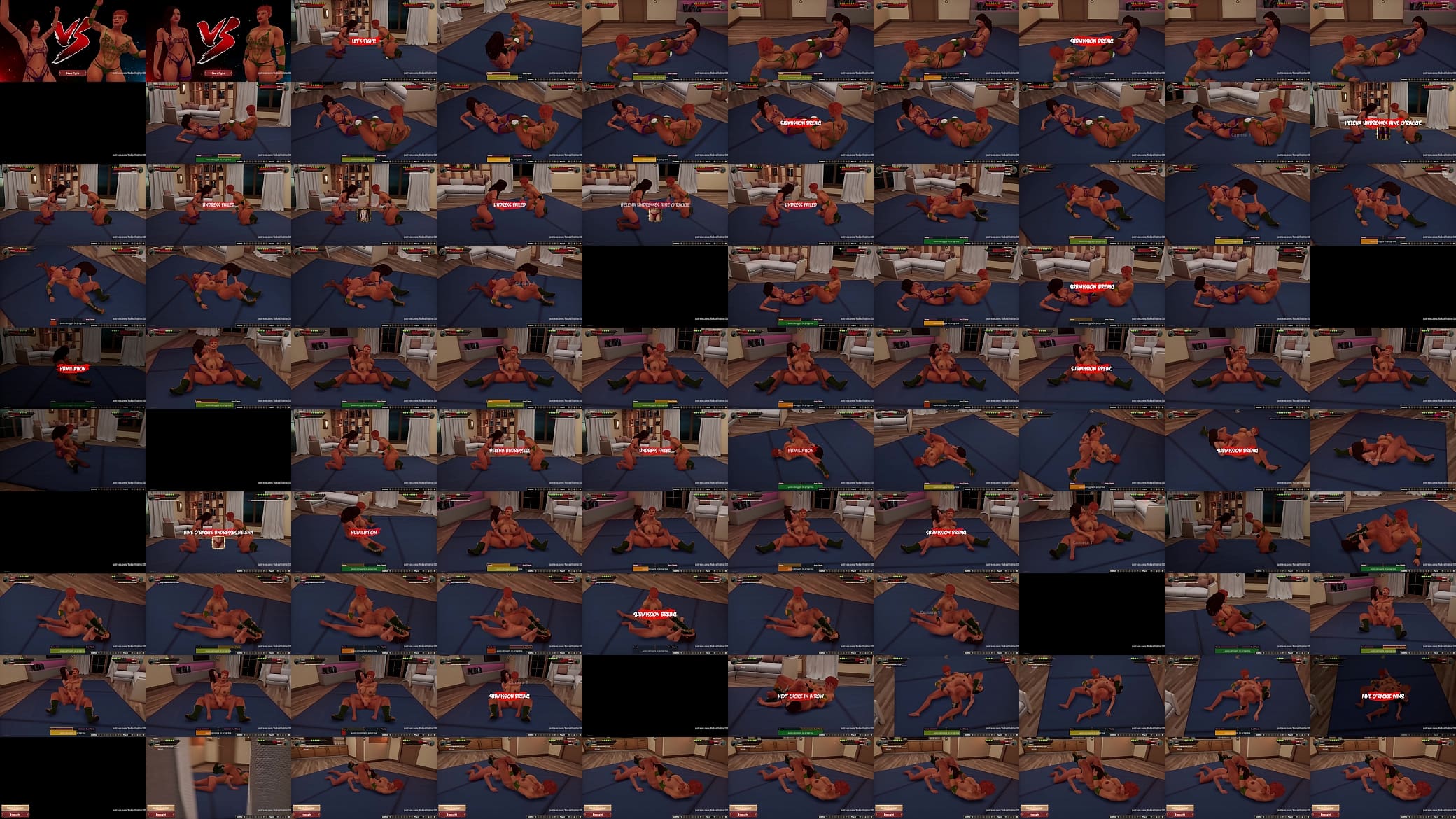 Helena VS Aine O&#039;Rackie (Naked Fighter 3D) 预览图