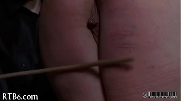 xv-41a65cebb249e9a00dc97bad195beb0d