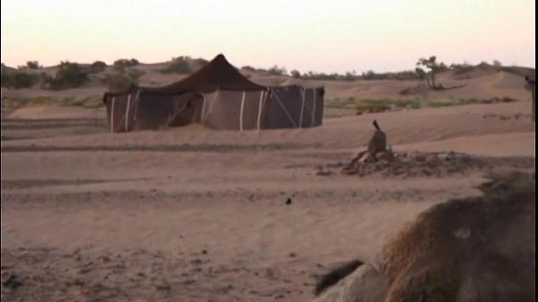 Download Video - arabian