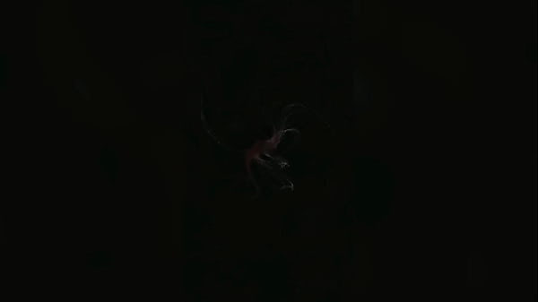 College girl and the muscular scream: Intense anal