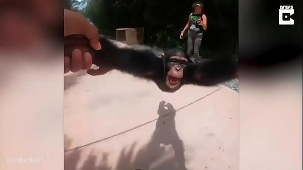 thumb funny monkey