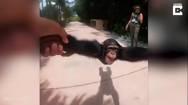 thumb funny monkey