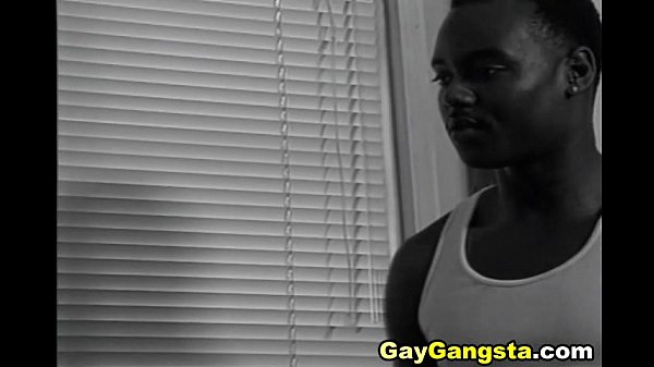 Black Gay Cocks Anal