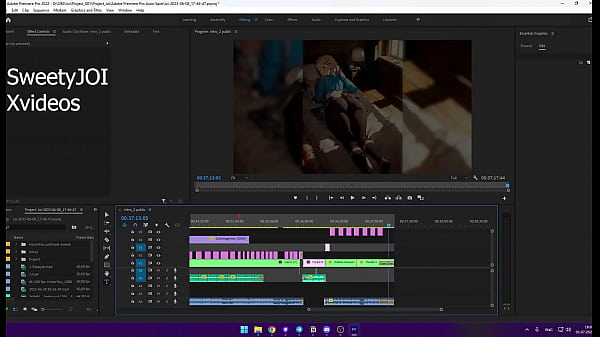 V&iacute;deo de verificaci&oacute;n