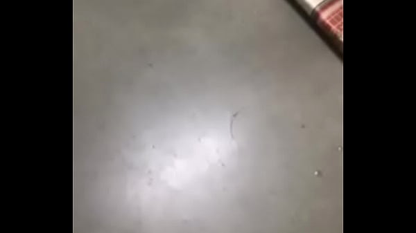 Video x&aacute;c minh