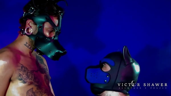 PIERRE DOG LIBERANDO O RAB&Atilde;O