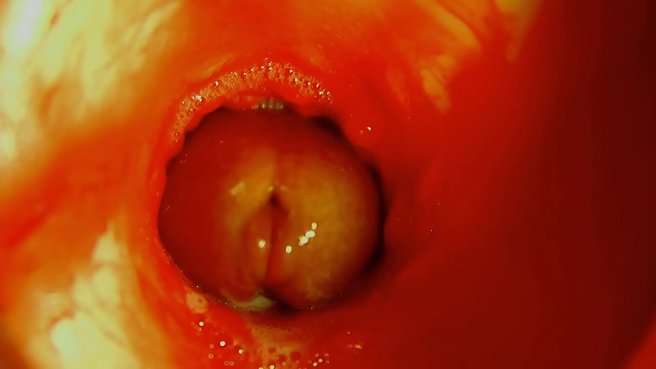 The path into the depths and wet splashes