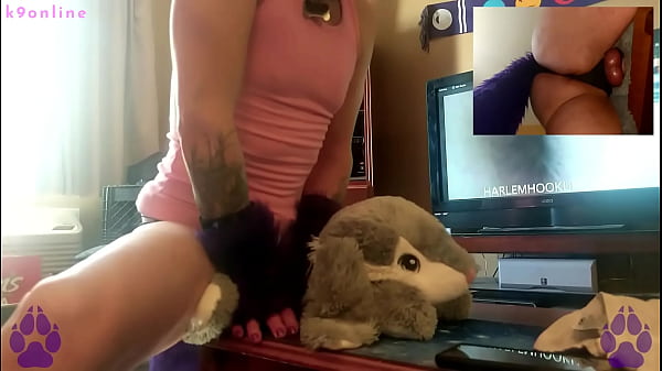 Download Video - Horny Puppy Fucks his Bunny Plushie