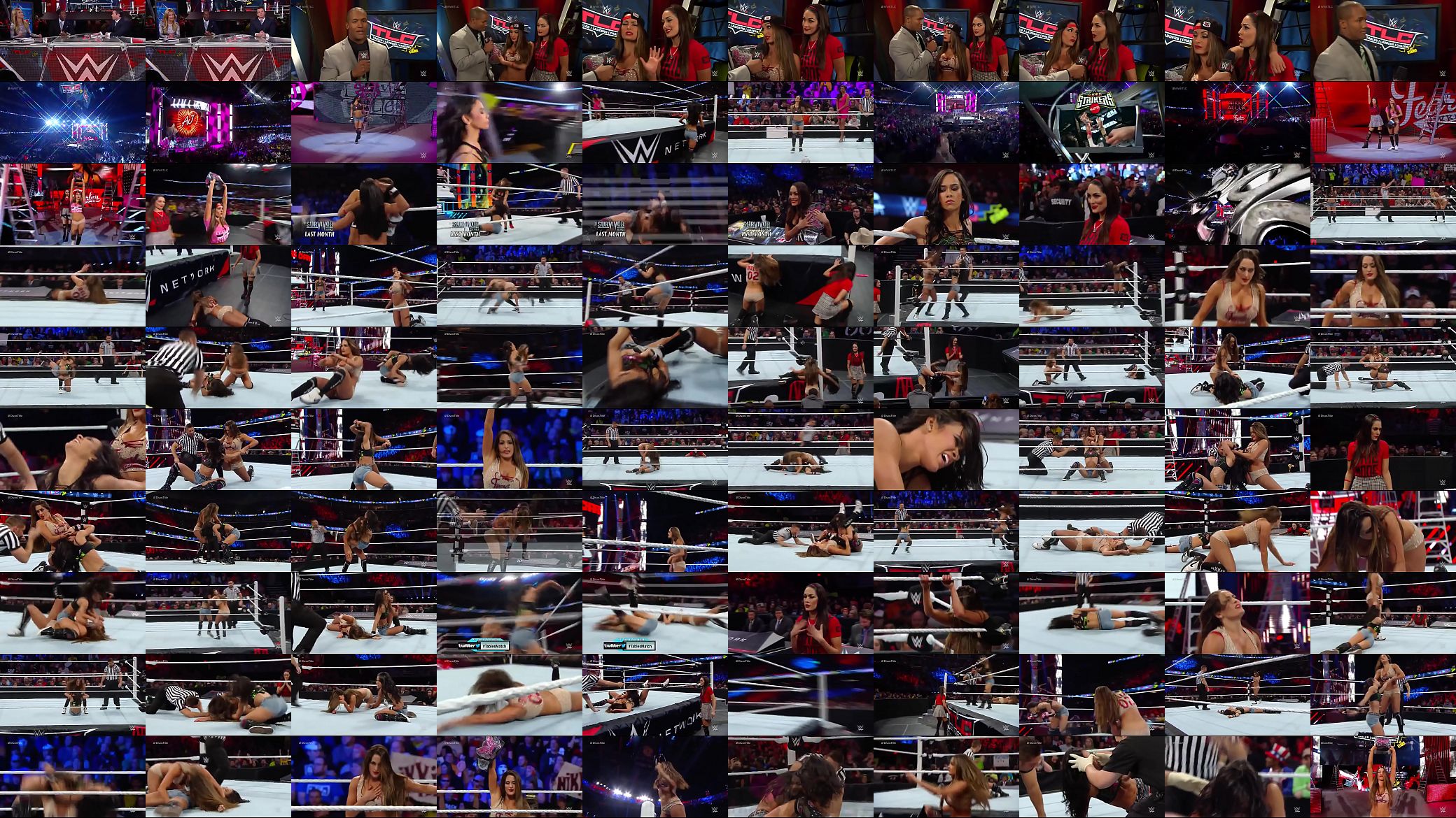 Nikki Bella vs AJ Lee TLC 2014. 预览图