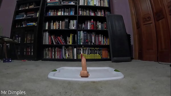 Chubby boy is curious what bouncing on dildo wo...