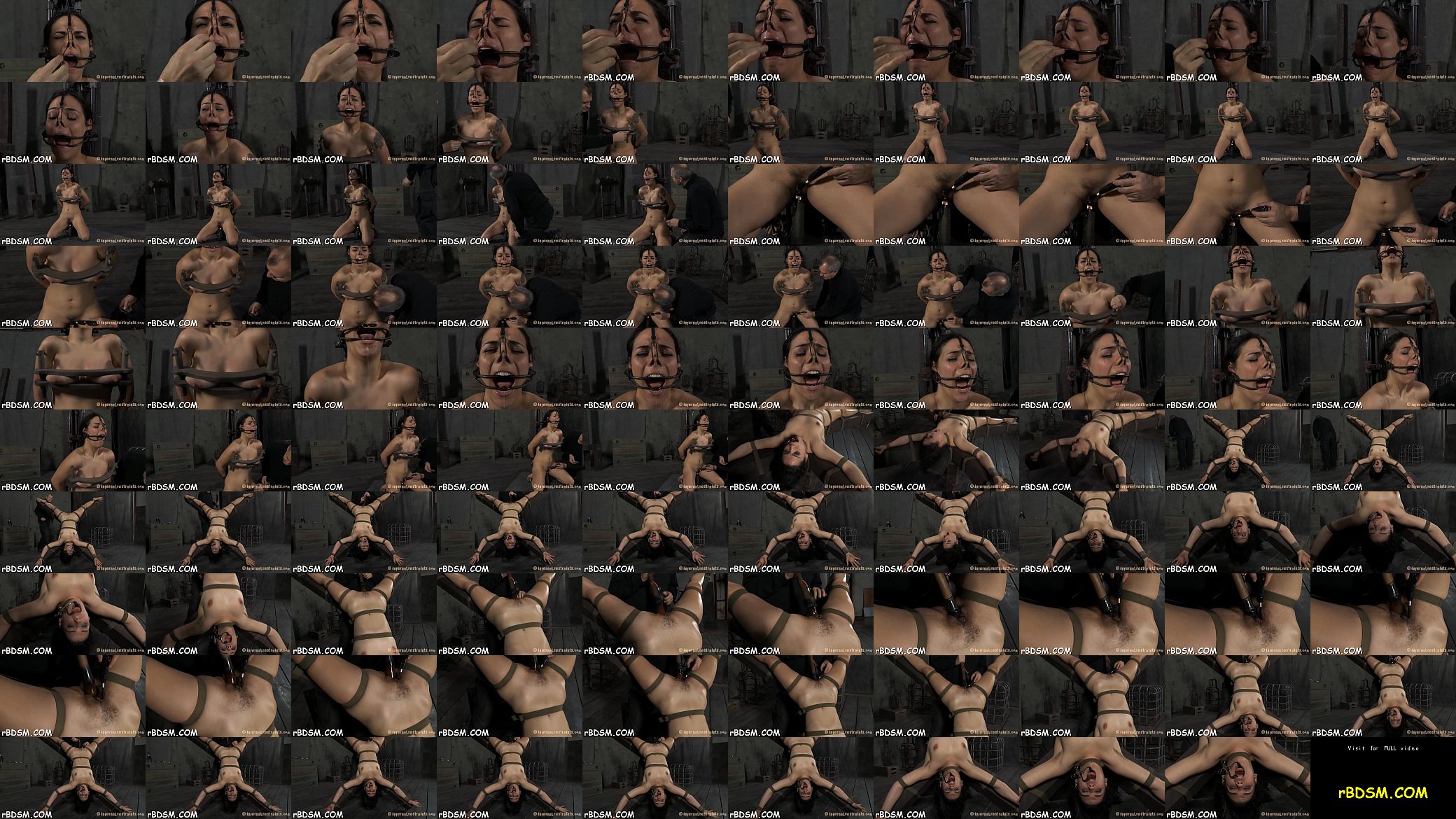 p. sadomasochism 预览图