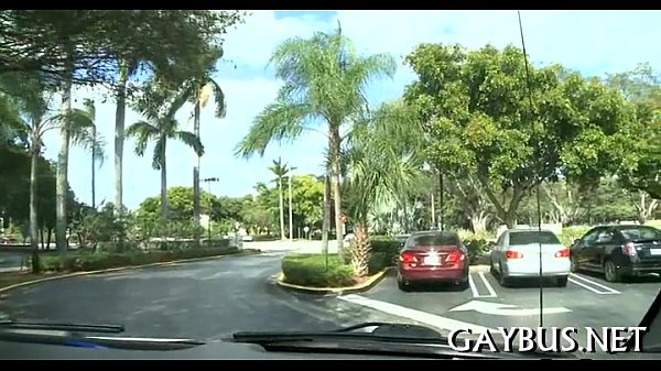 Free homosexual sex photos