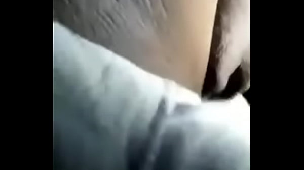 Double donkey Ms booty