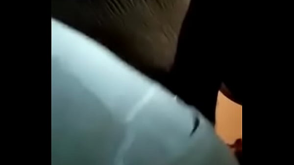 Double donkey Ms booty