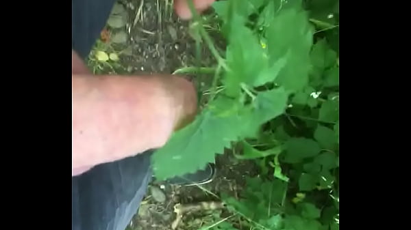 Download Video - Excitation aux hortis