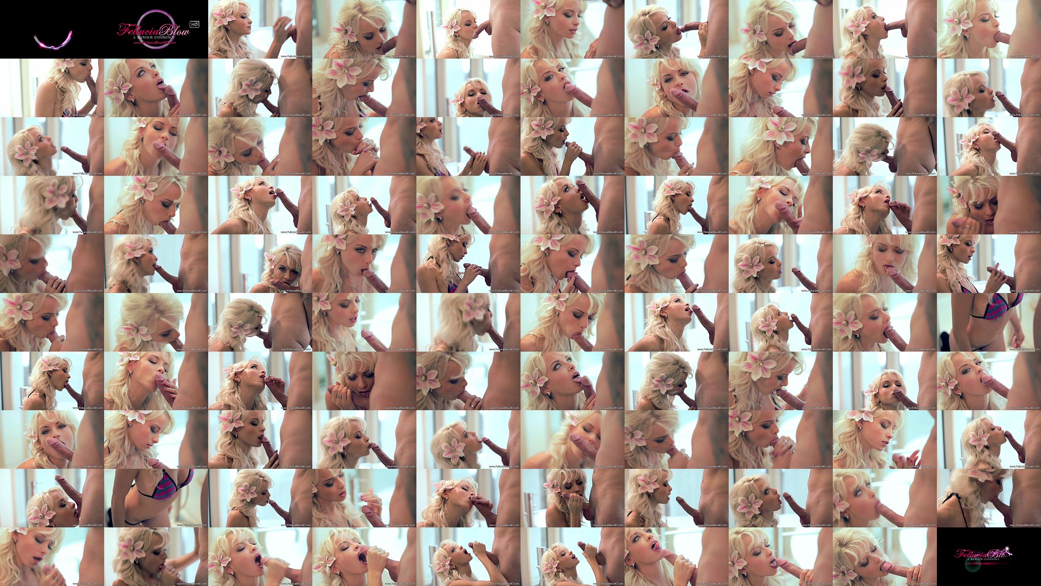 Stunning Blowjob Of Wonder 预览图