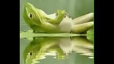 Video de vérification