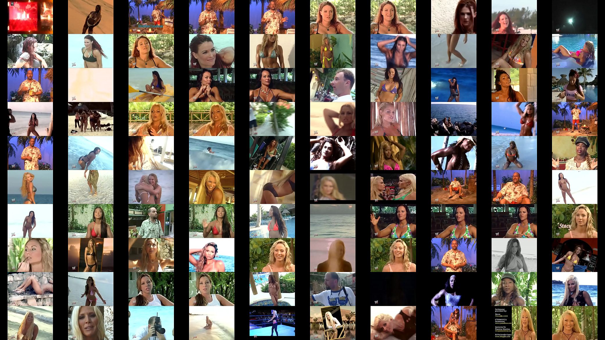WWE Divas bikini montage. 预览图