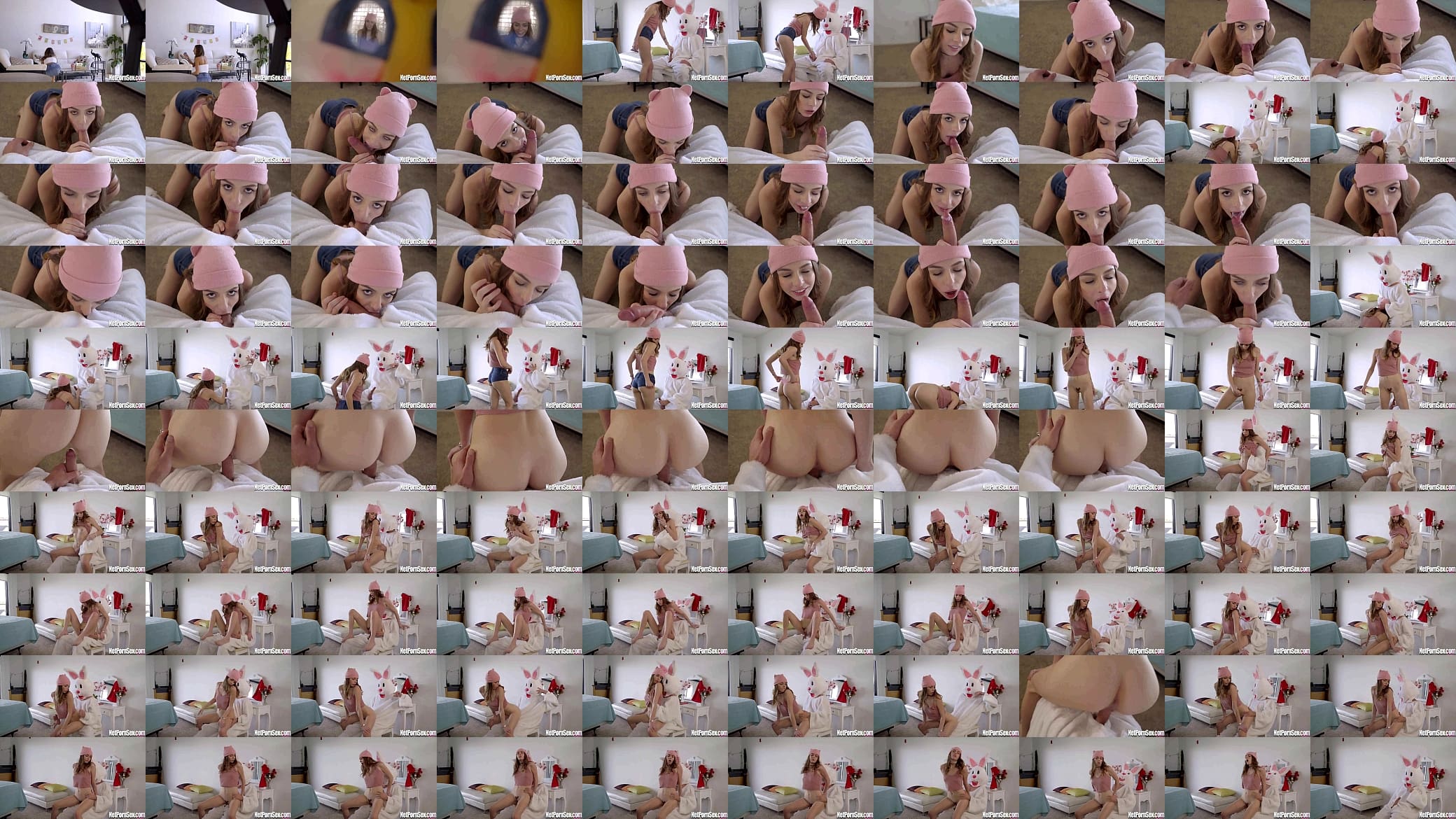 easter bunny gives his eggs 预览图