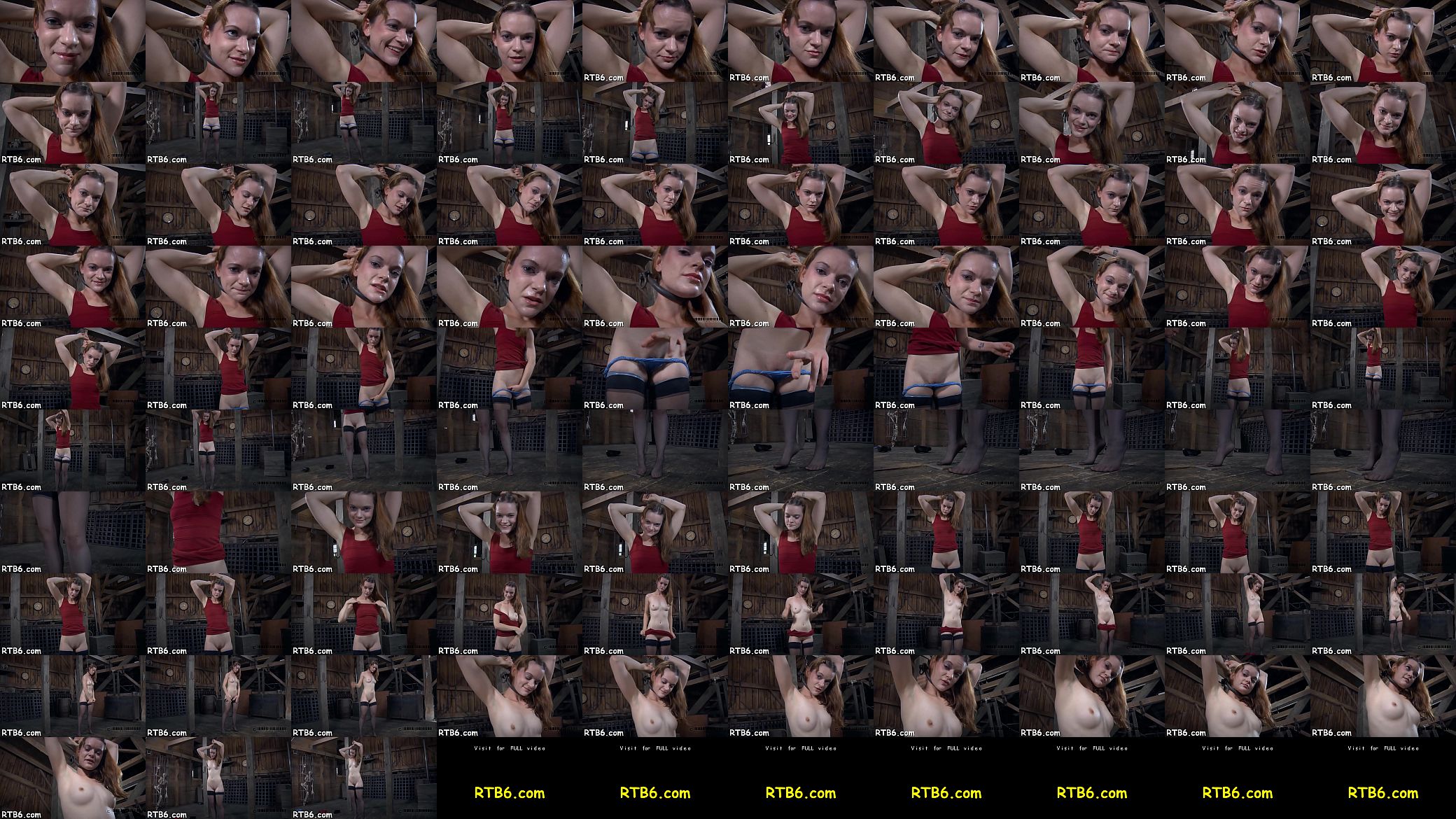 Hoisted angel waits lustily 预览图