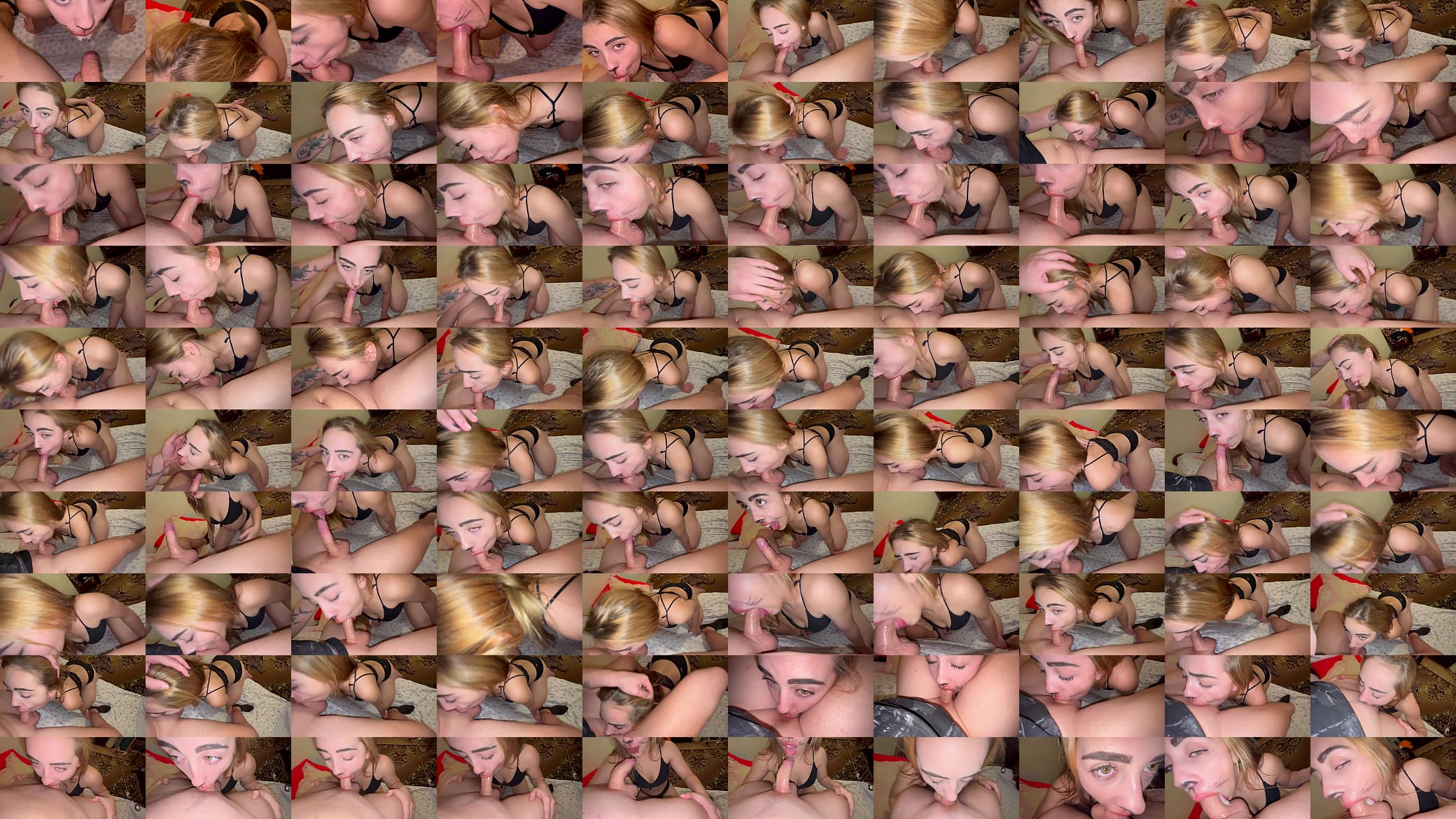 Facefuck Sloppy Kitty 预览图