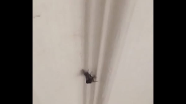 Hot sexy aunty fucking