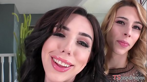 Download Video - Shemale godesses Casey Kisses - Annabelle Lane playing with each other's cocks