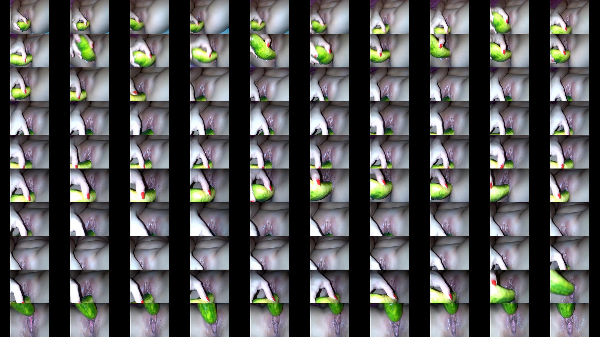 vegetales 预览图