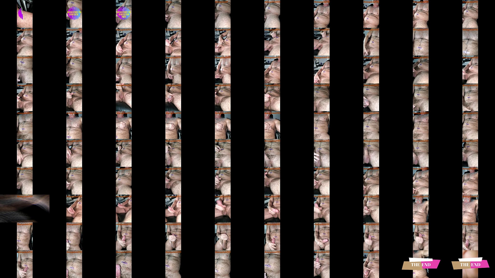 Verification video 预览图
