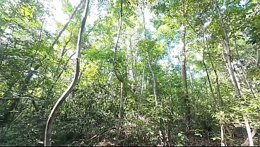 Download Video - สาวไทยเดินโม้ดีปวดฉี่ในป่า แต่ดันเงี่ยนหีช่วยตัวเองต่อ เสียงไทย