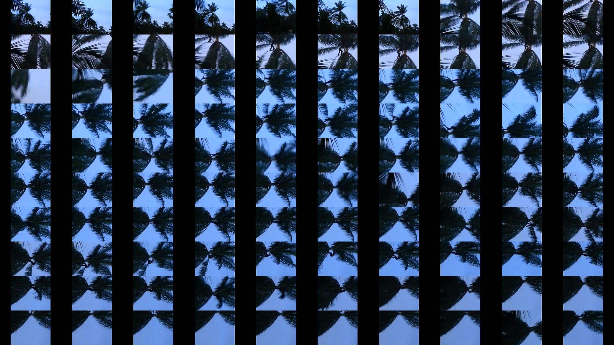 VID-20140504-WA0001 预览图
