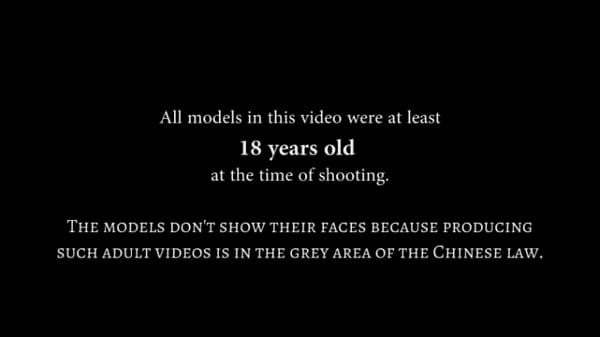 A chinesse girl secret agent fails at her job and her boss teaches her how to do it right. Failures are paid, bitch !!  I love the minute 2:50, where he hits him on the head with the stick, so that next time, he thinks hard !!