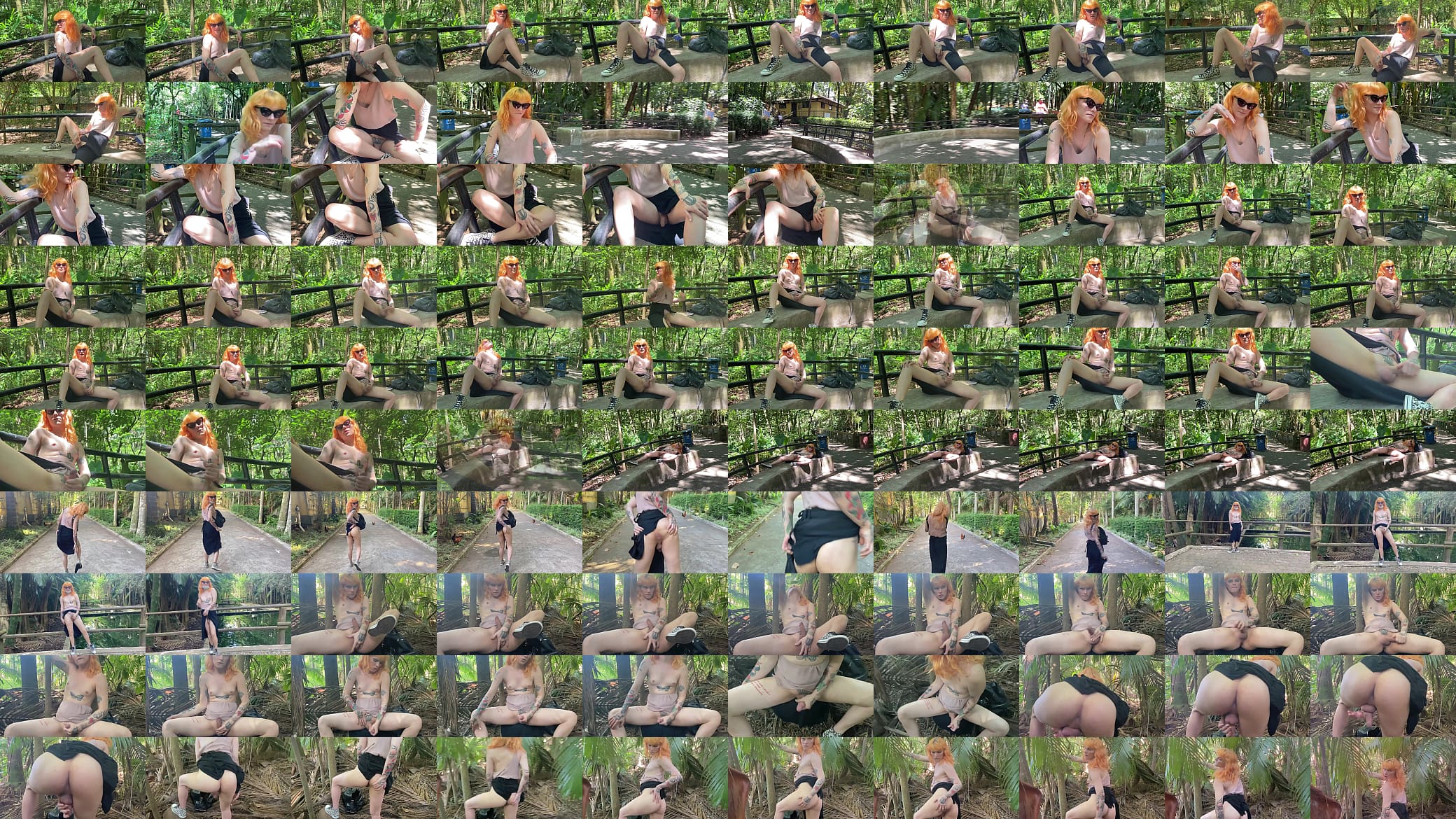 Horny At A Public Park 预览图