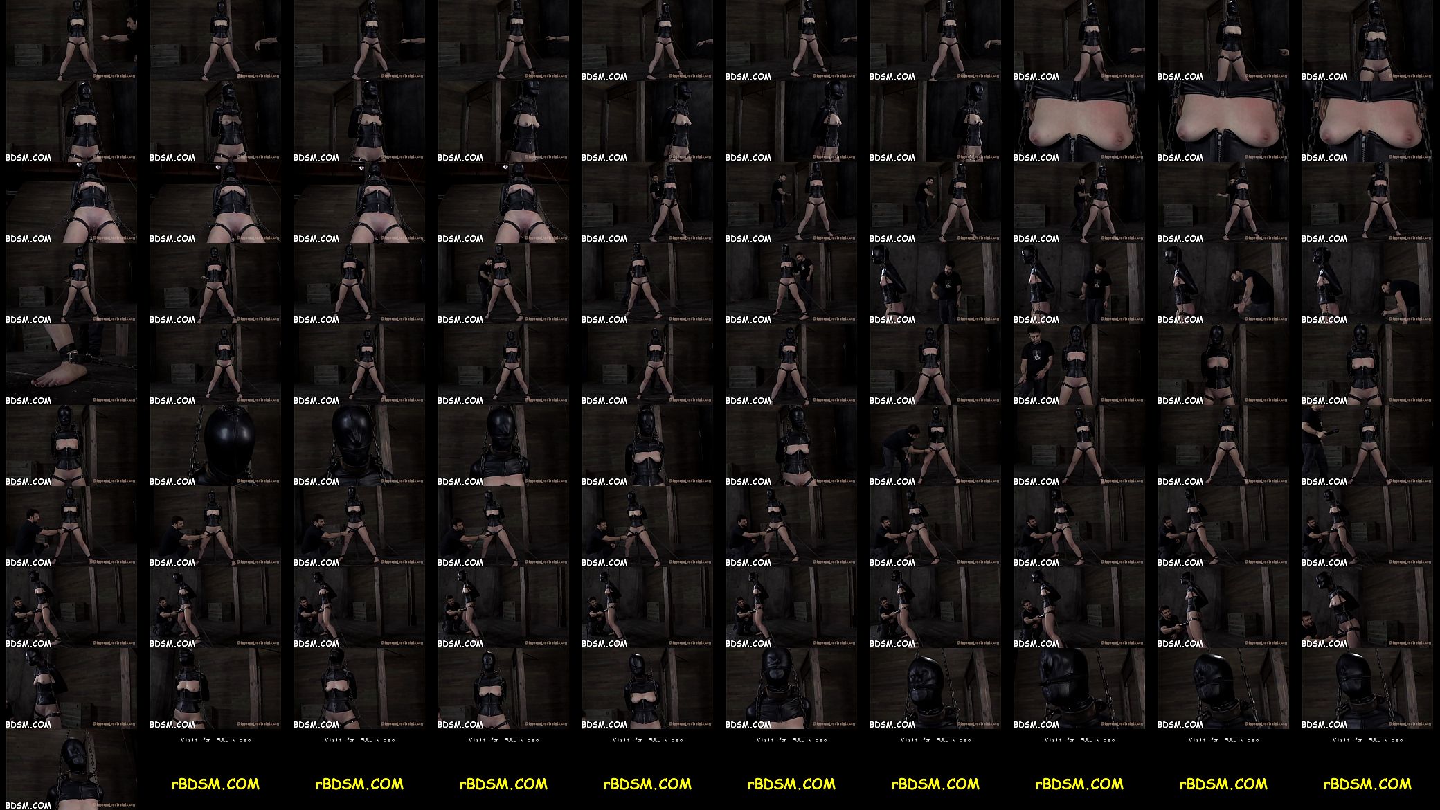 Shocking beauty&#039;s hawt assets 预览图